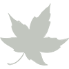 Maple Forest Family Physicians leaf brand icon